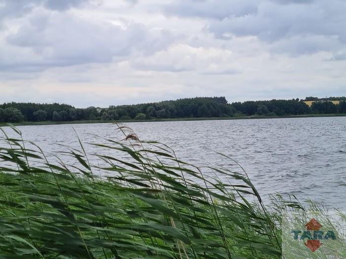Działki w pięknej lokalizacji! — zdjęcie 4