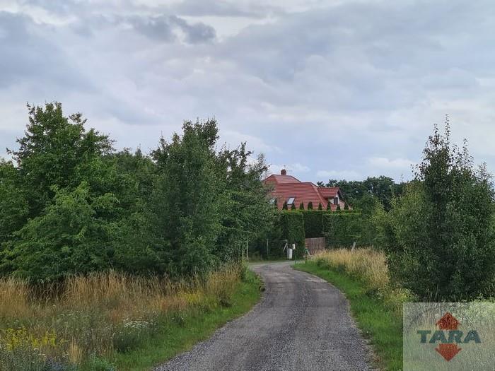 Działki w pięknej lokalizacji! — zdjęcie 6