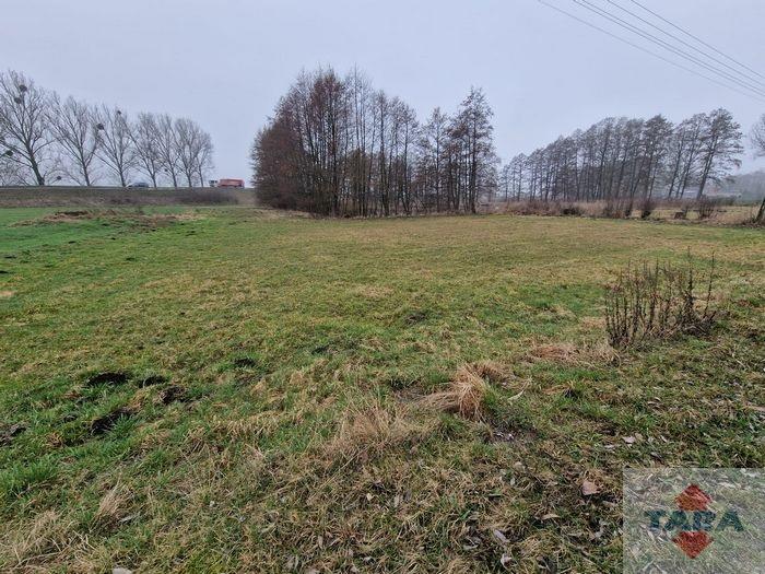 Działka w budowlana w Pturku — zdjęcie 5