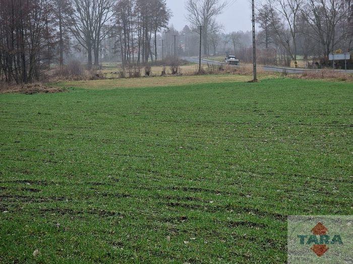 Działka w budowlana w Pturku — zdjęcie 7