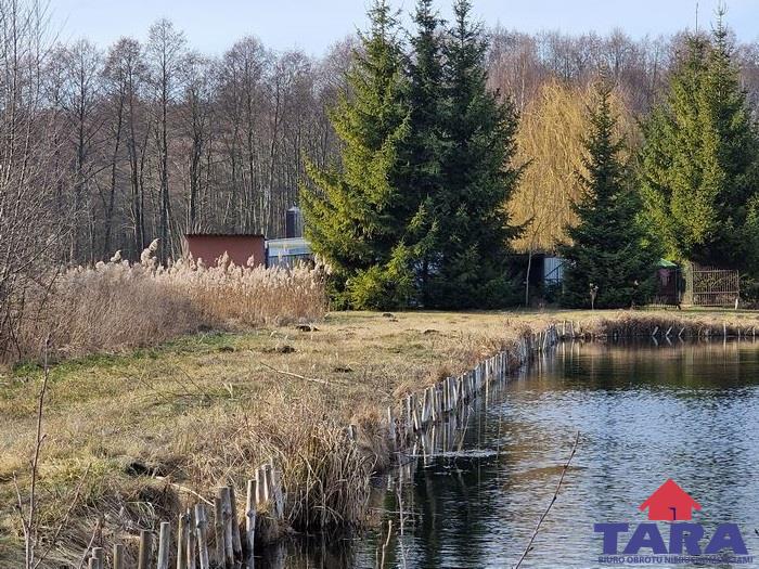 Nieruchomość na łowisko ryb — zdjęcie 4