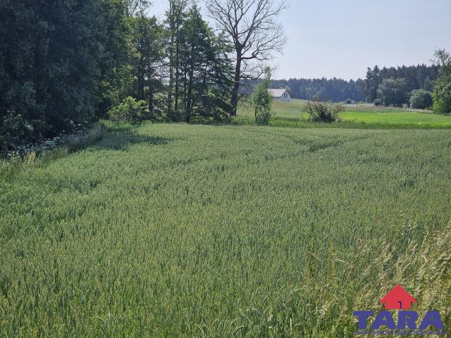 Duża działka, blisko jeziora z WZ! — zdjęcie 2